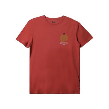 T-Shirt QS Promote The Stoke SS QUIKSILVER