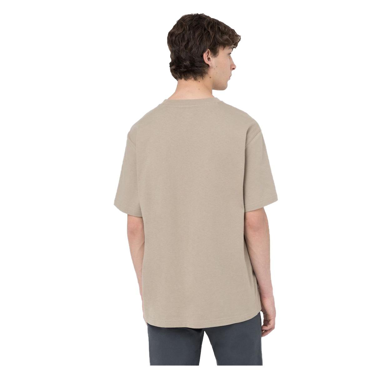 T-Shirt Uomo Porterdale DICKIES