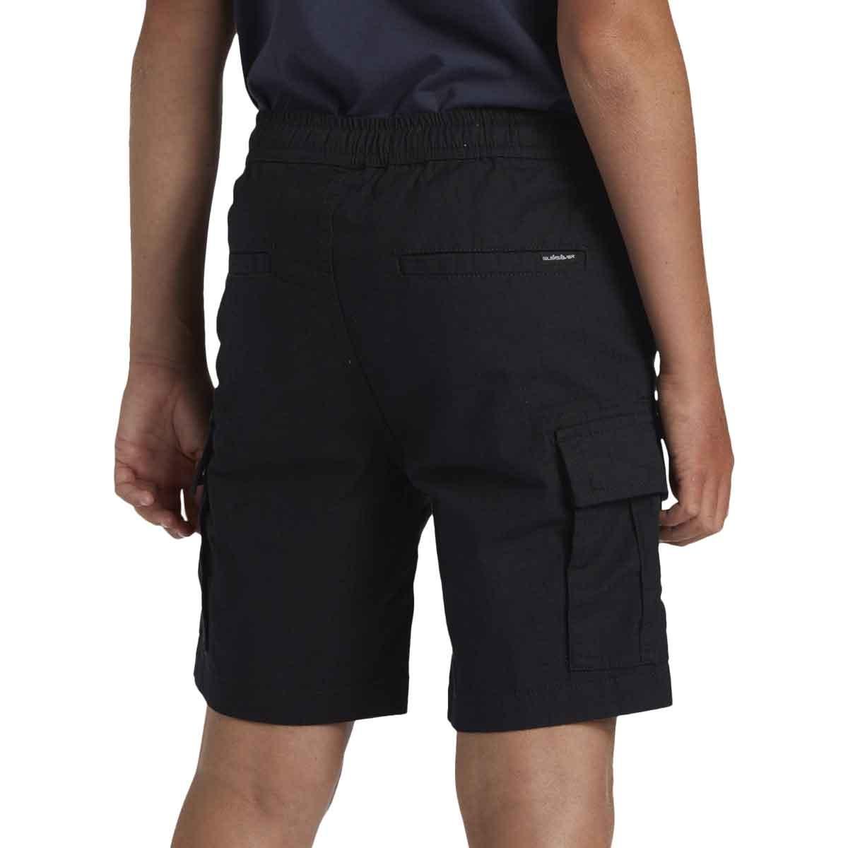 Taxer Cargo Quiksilver