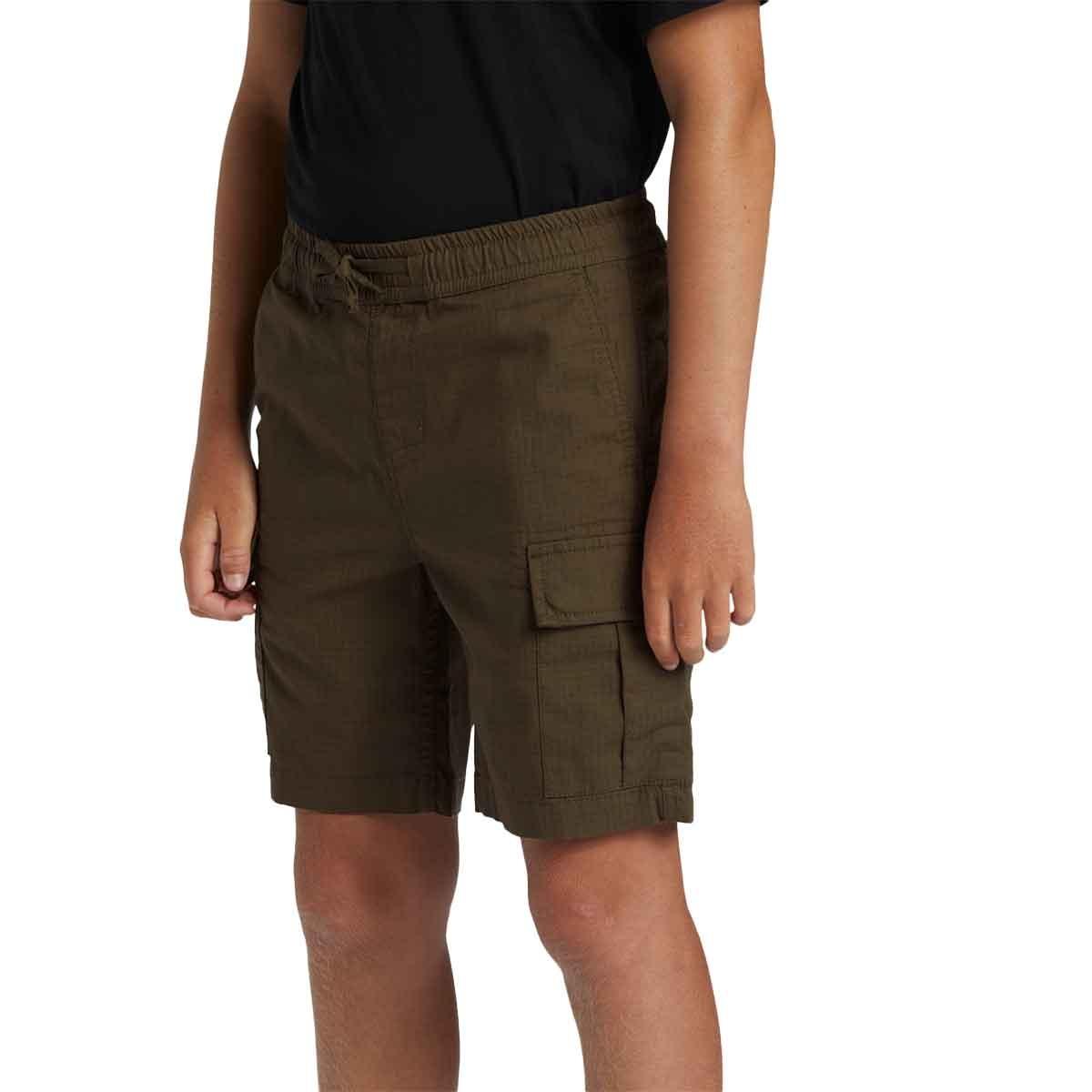 Taxer Cargo Quiksilver