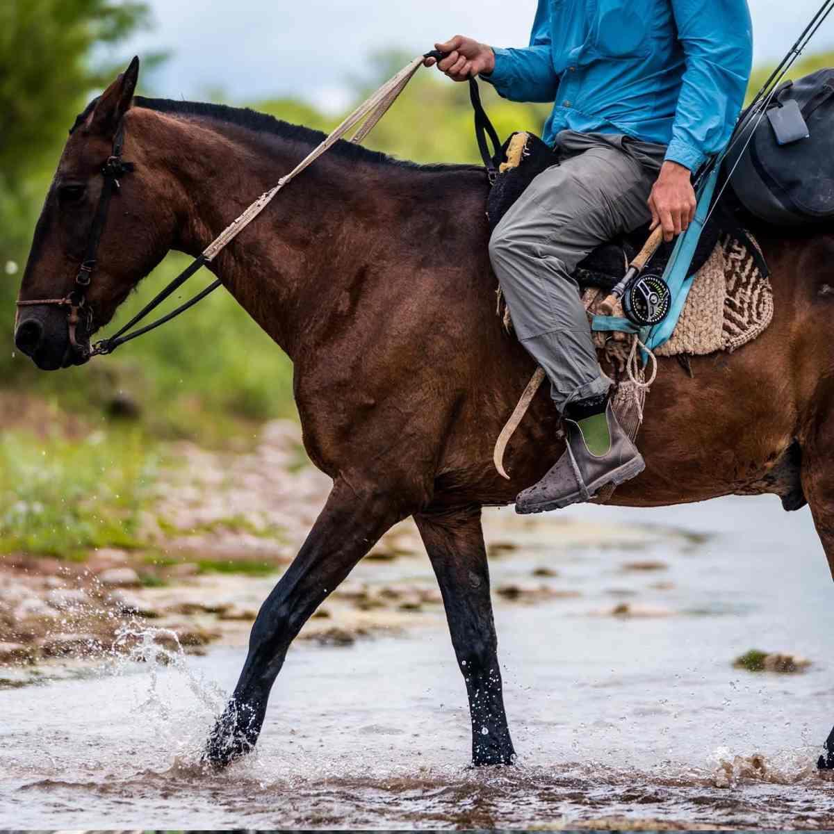 519 Blundstone