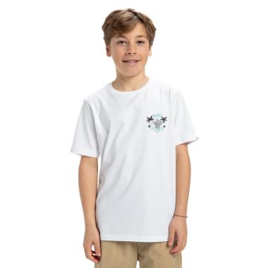 EV Share The Stoke Quiksilver