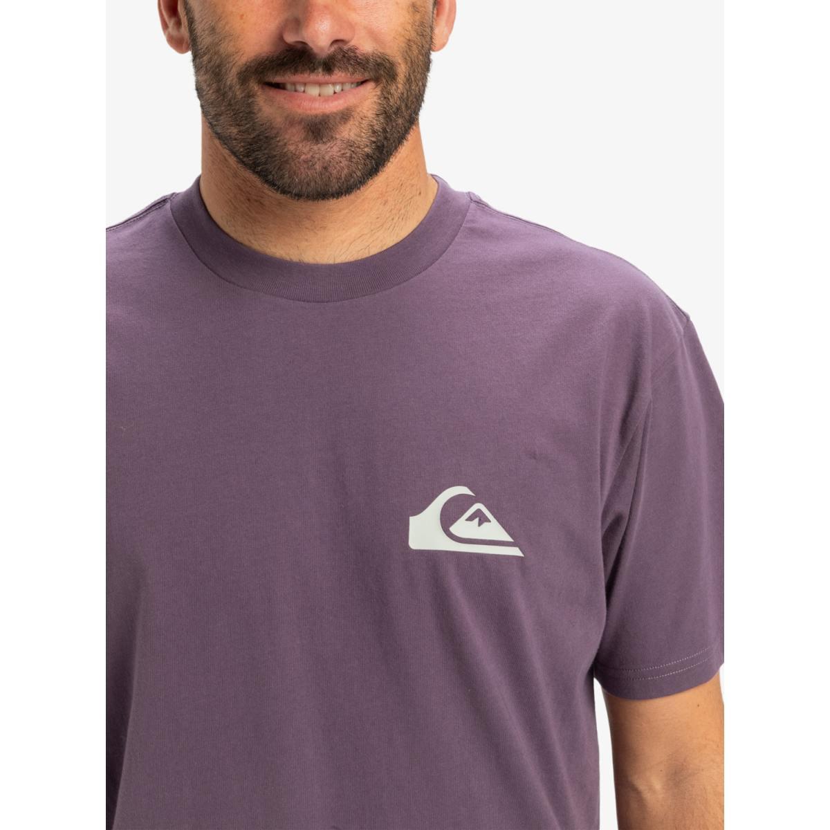 EV Mini Logo Quiksilver