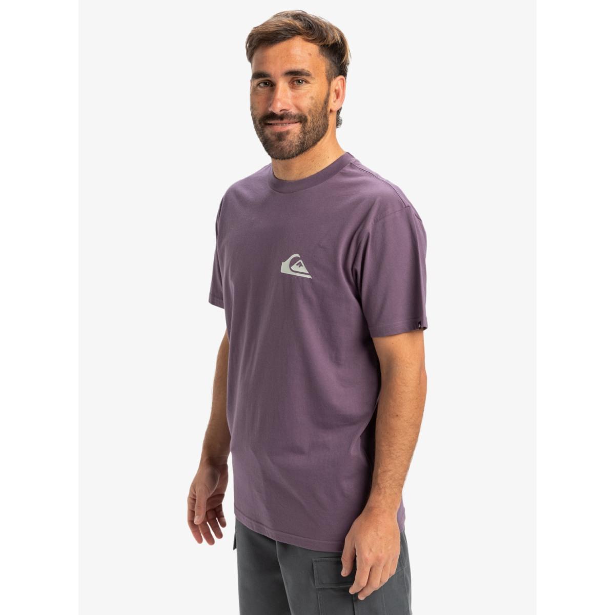 EV Mini Logo Quiksilver