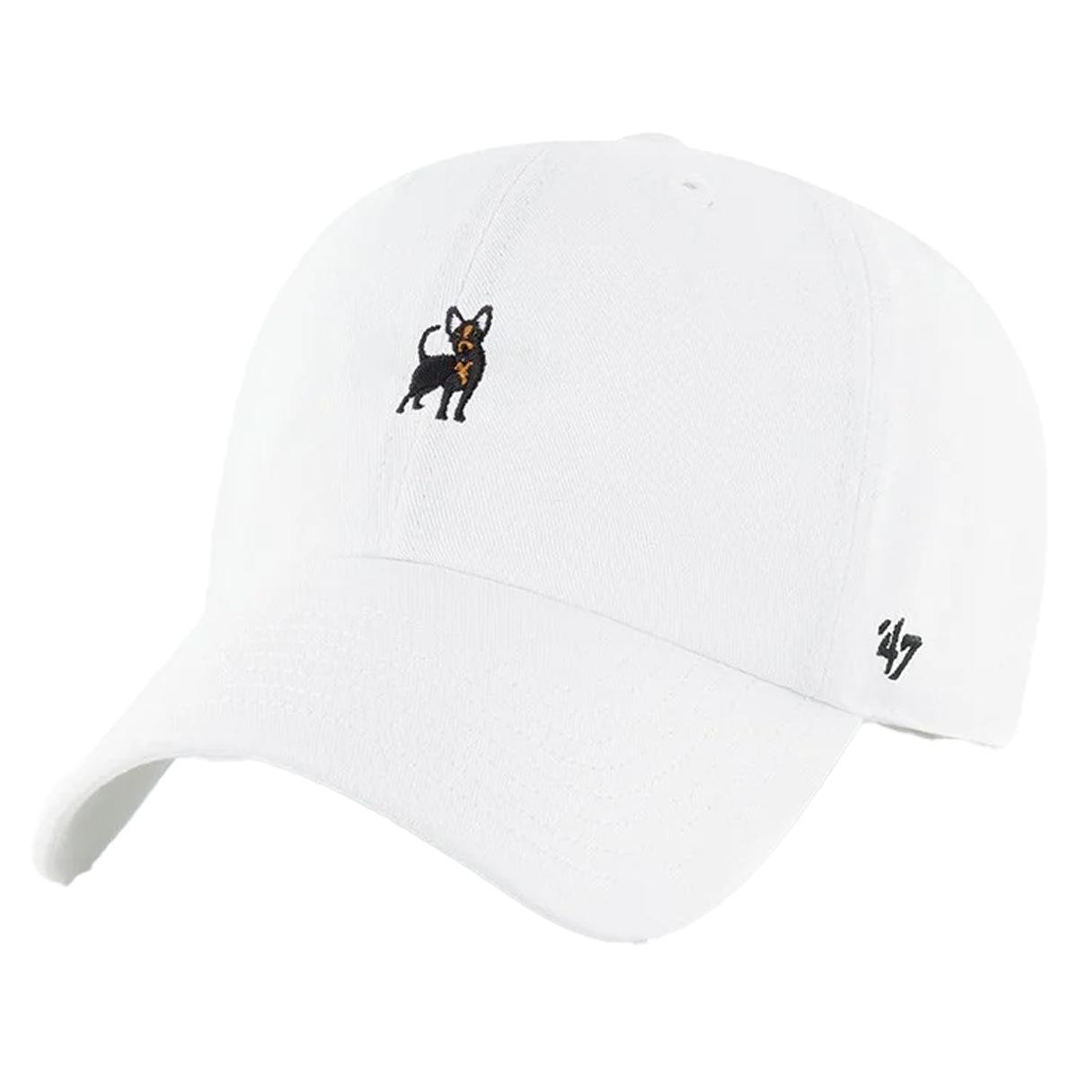 Dogs Chihuahua Clean Up 47