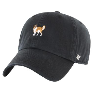 Dogs St. Bernard Clean Up 47