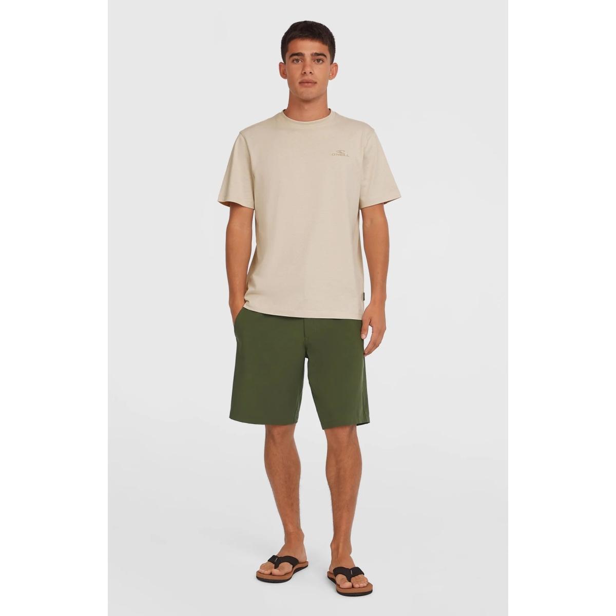Hybrid Chino 19 O Neill