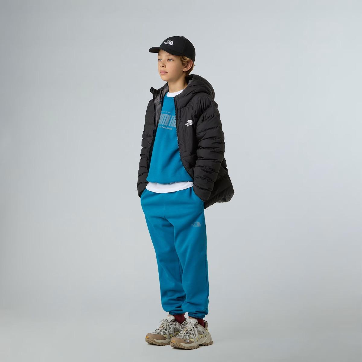 Perrito Reversible The North Face