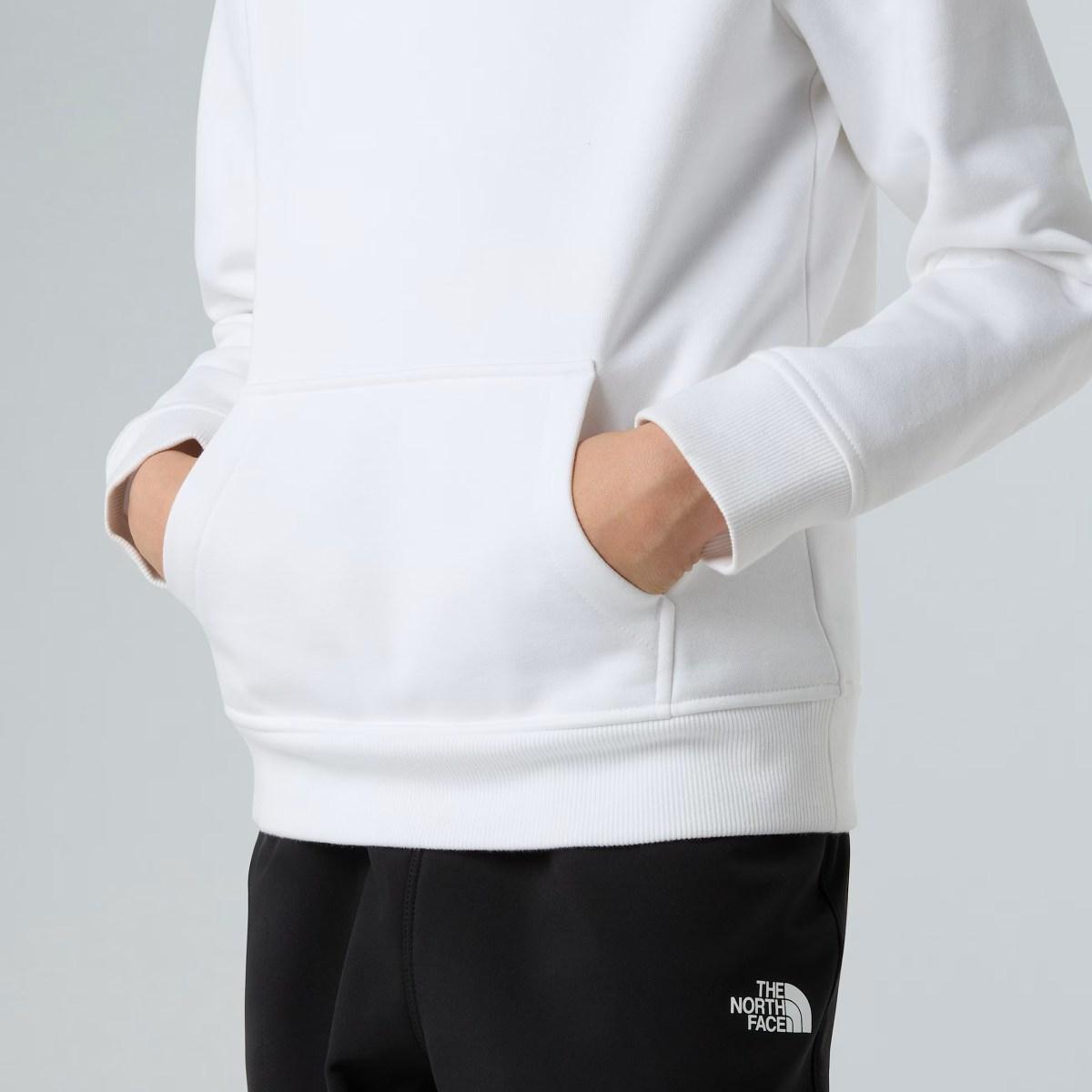 NSE Box The North Face