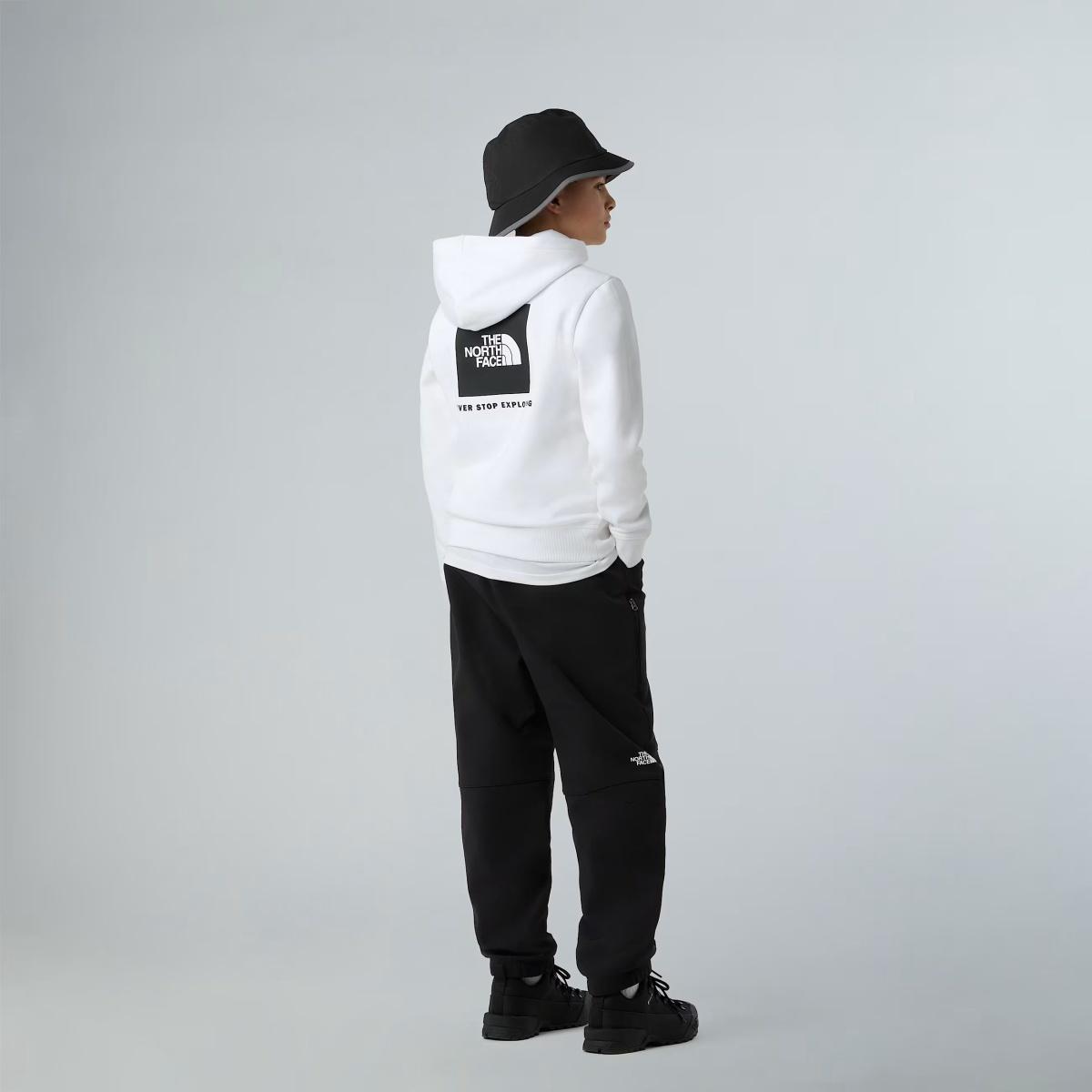 NSE Box The North Face