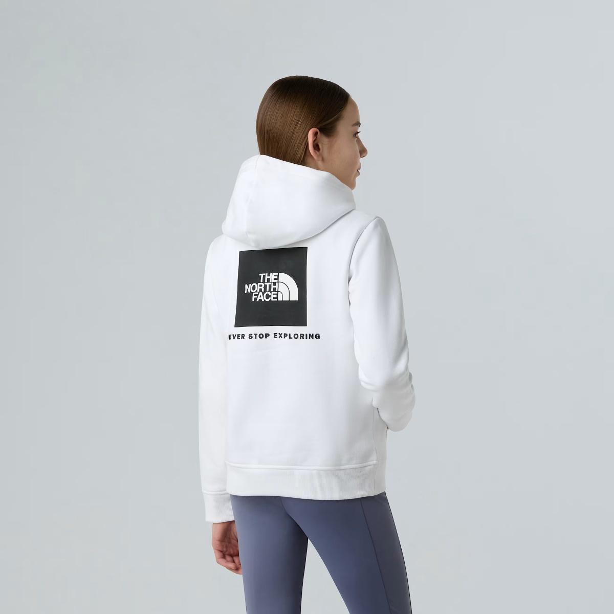 NSE Box The North Face