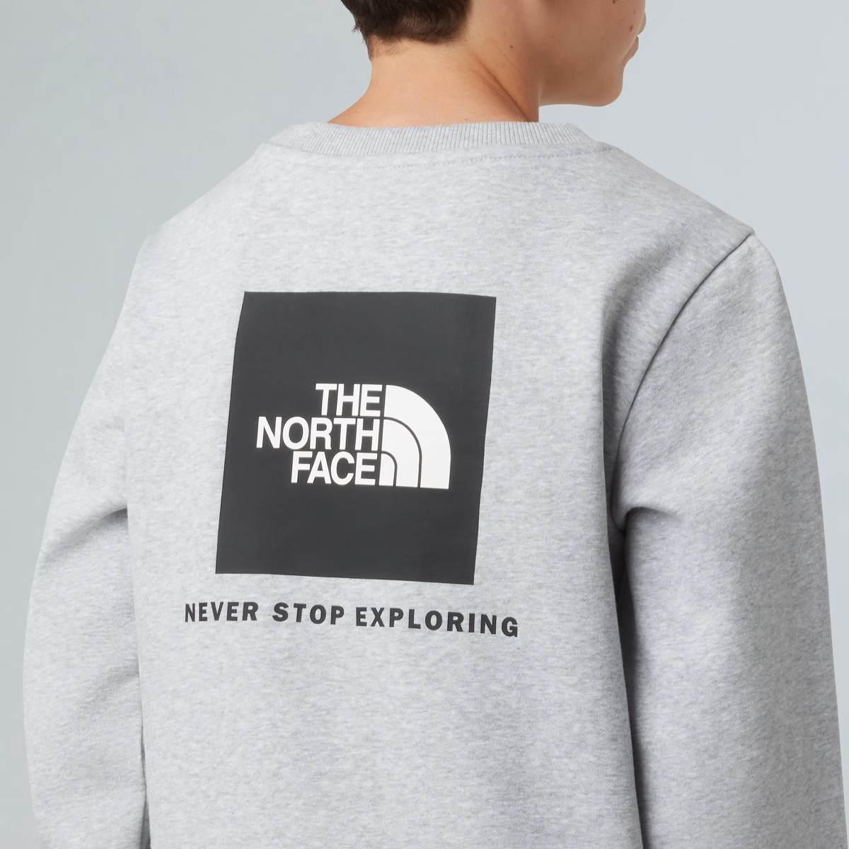 NSE Box The North Face