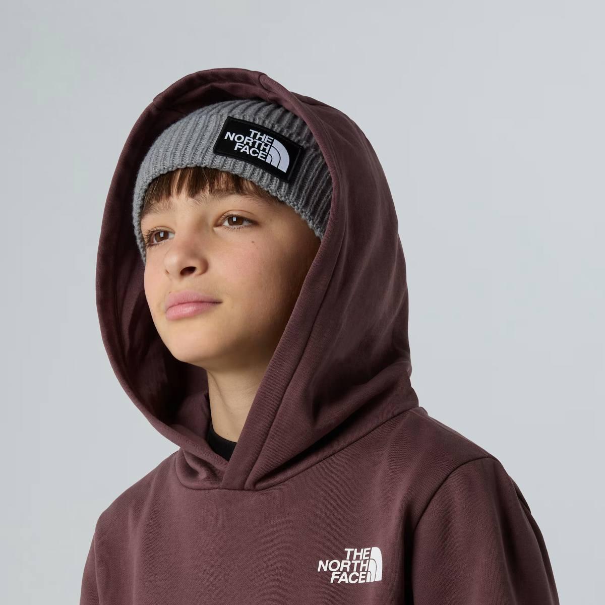 Simple Dome The North Face