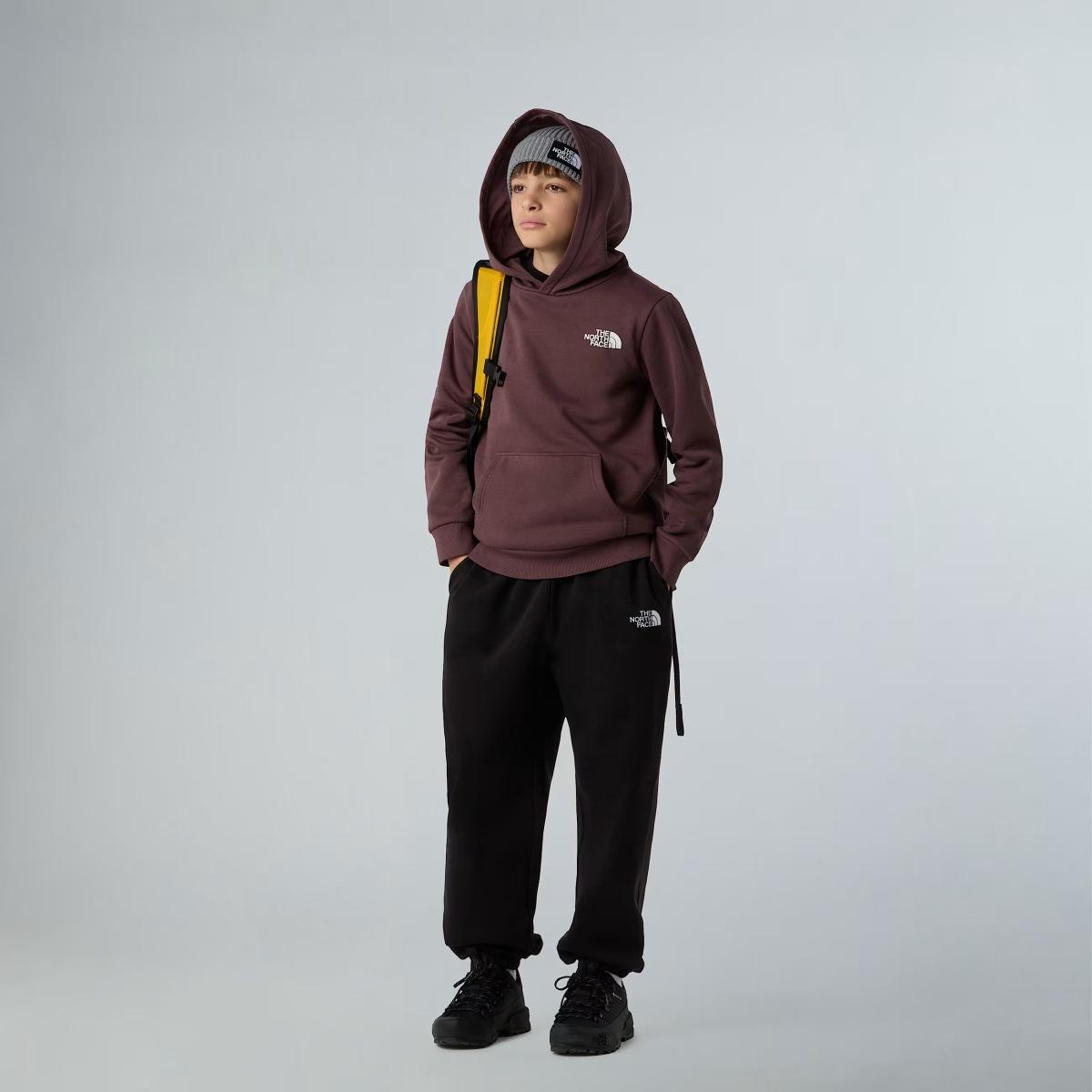 Simple Dome The North Face