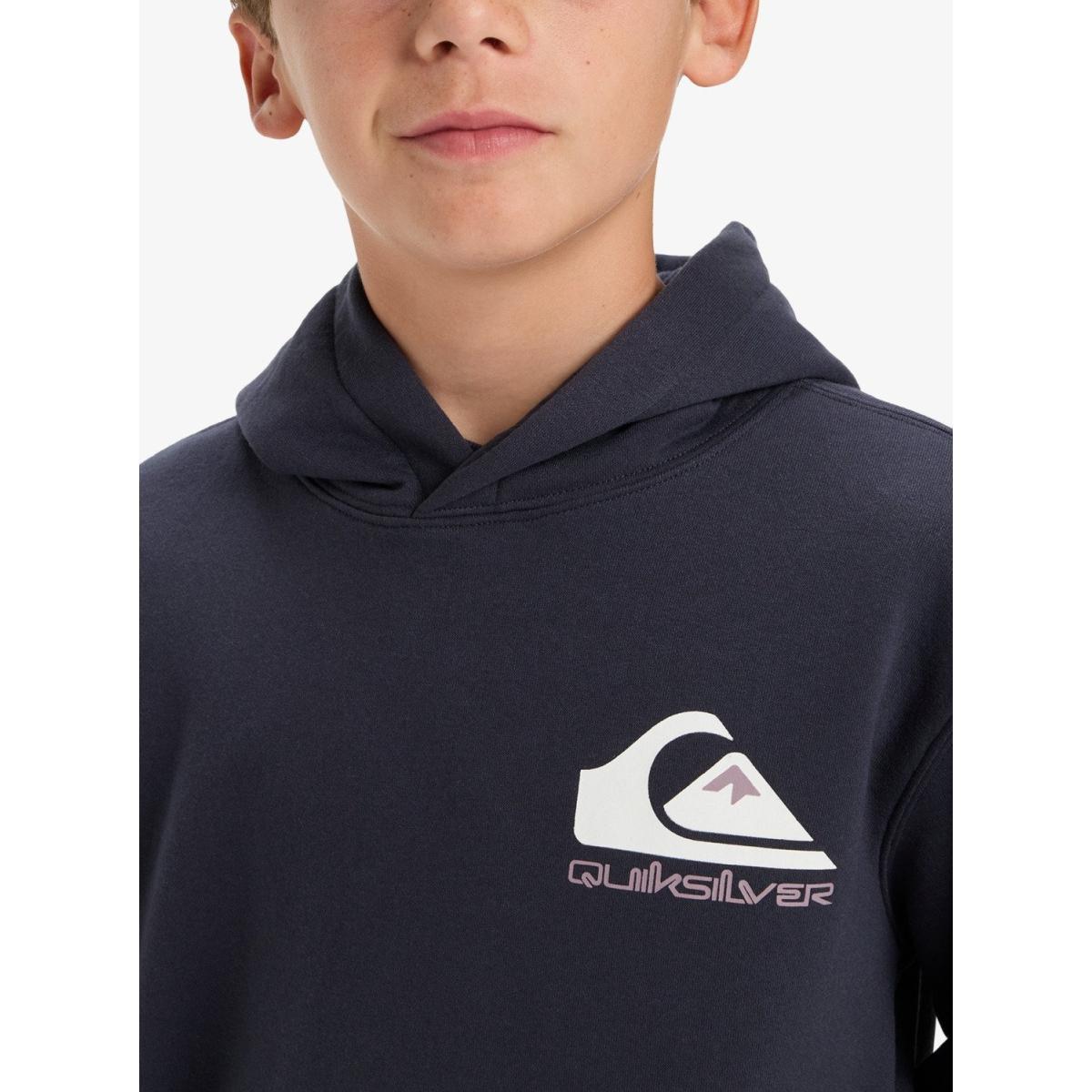 Omni Logo Quiksilver