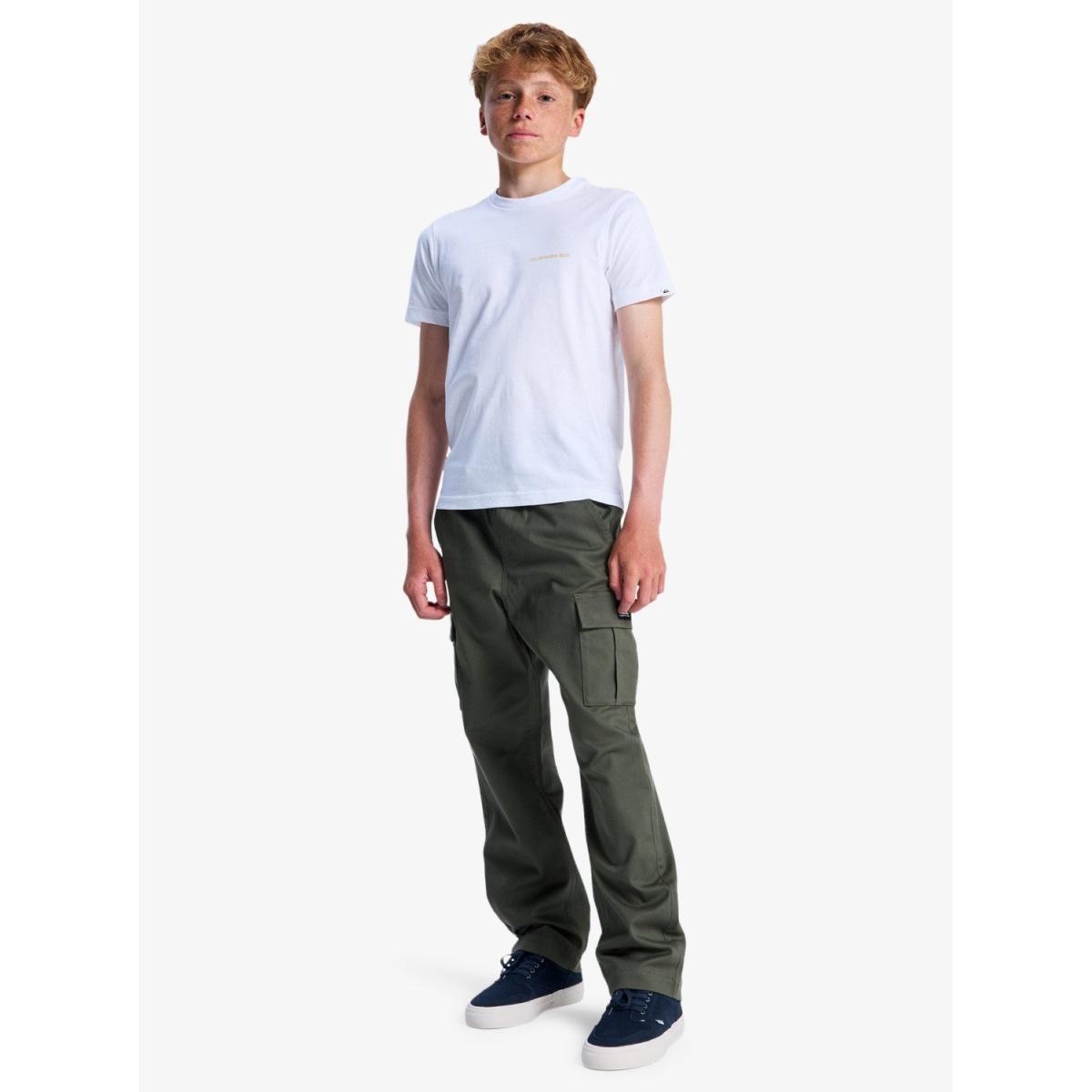 Taxer Cargo Quiksilver