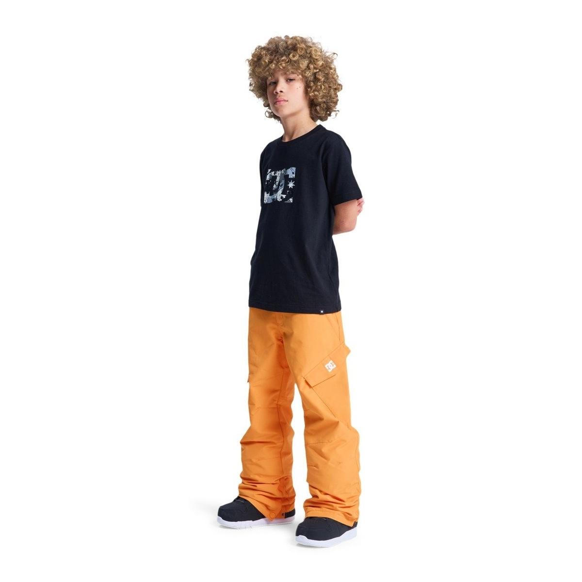 Banshee Youth DC