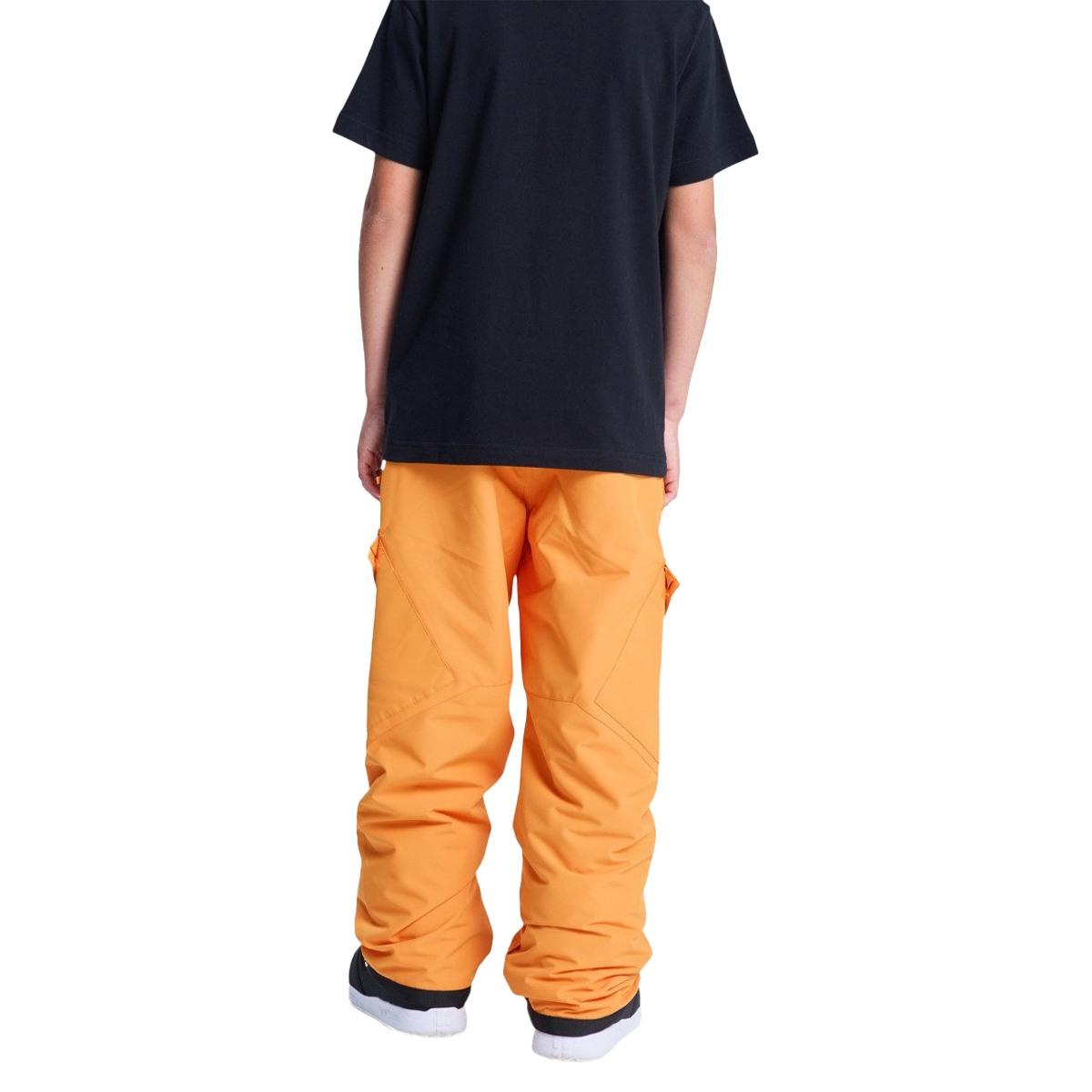 Banshee Youth DC