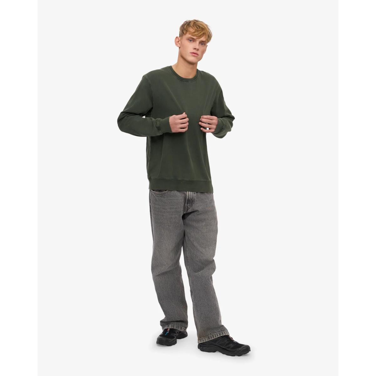 Classic Organic Crew Colorful Standard