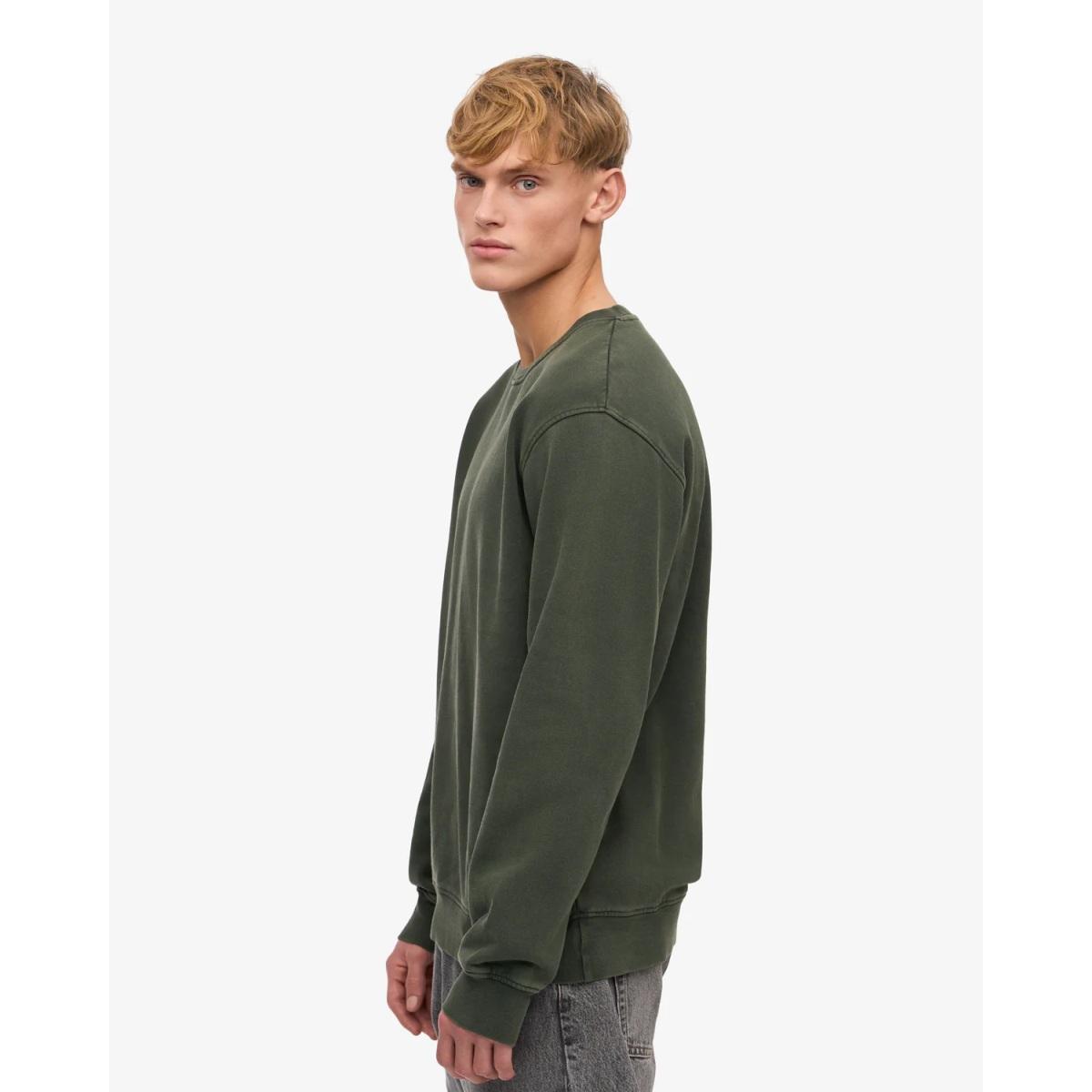 Classic Organic Crew Colorful Standard