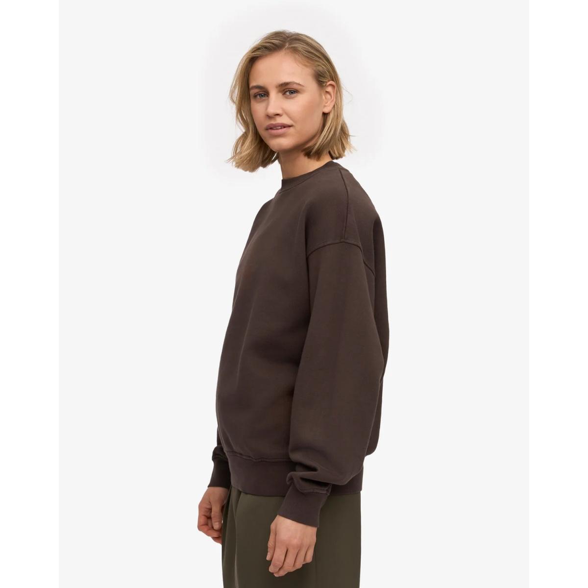 Organic Oversized Crew Colorful Standard