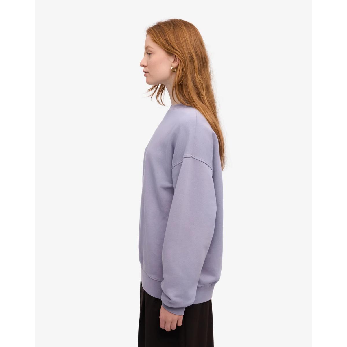 Organic Oversized Crew Colorful Standard