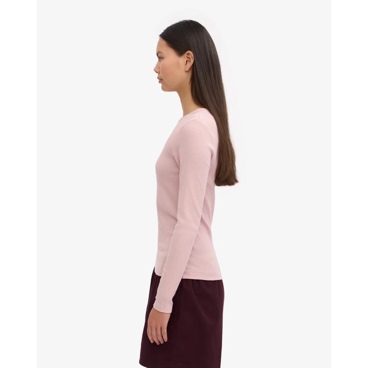 Organic Rib Colorful Standard