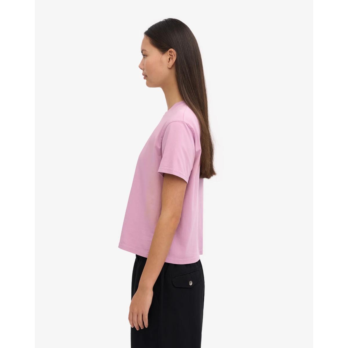 Organic Boxy Crop Colorful Standard