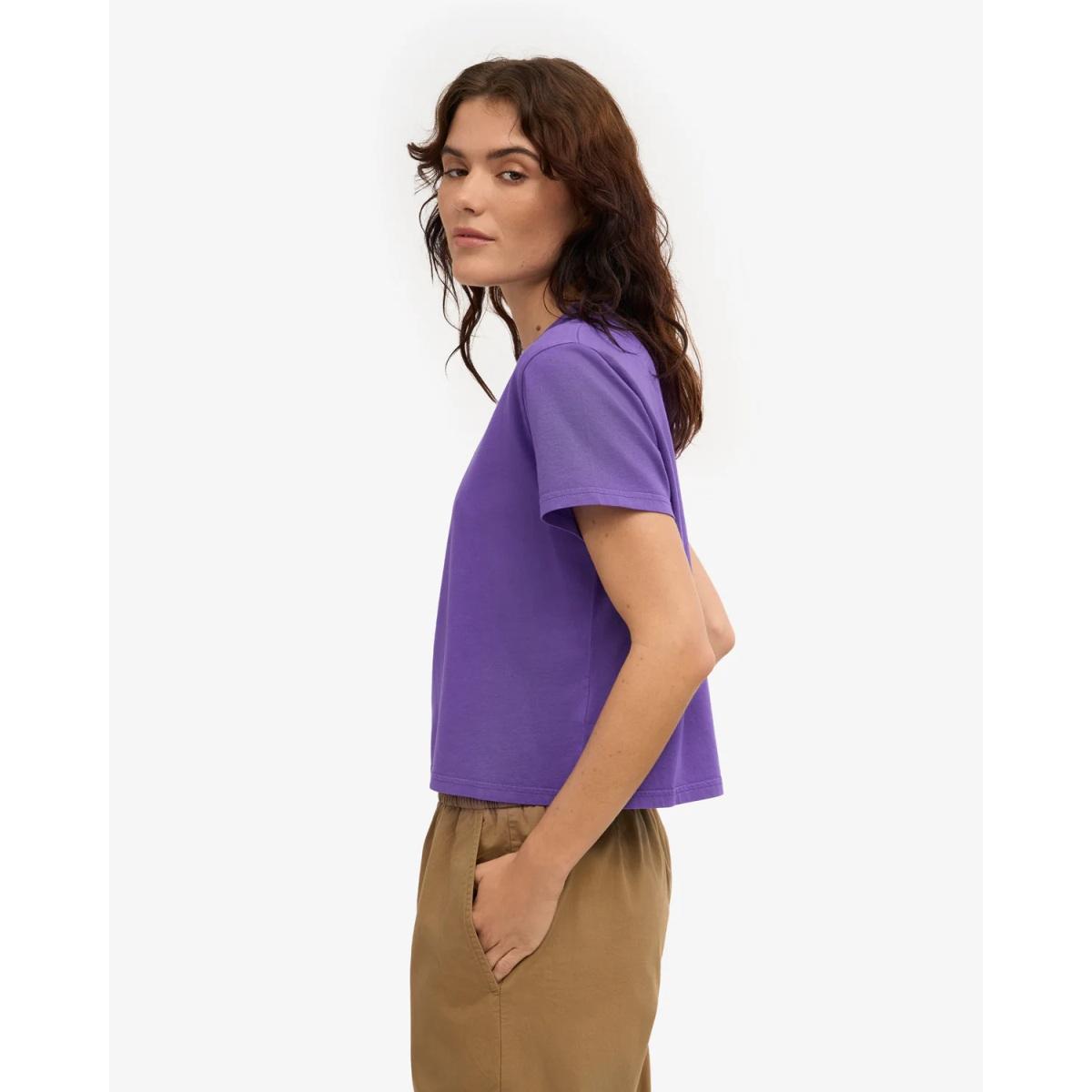 Organic Boxy Crop Colorful Standard
