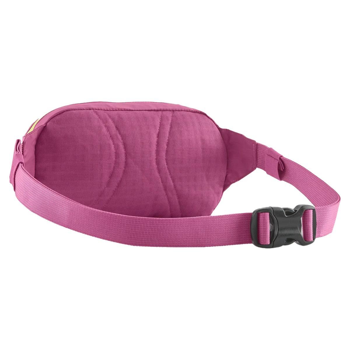 Terravia Mini Hip Pack Patagonia