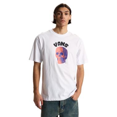 Bone Head Loose Vans