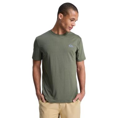 Caecilian Quiksilver
