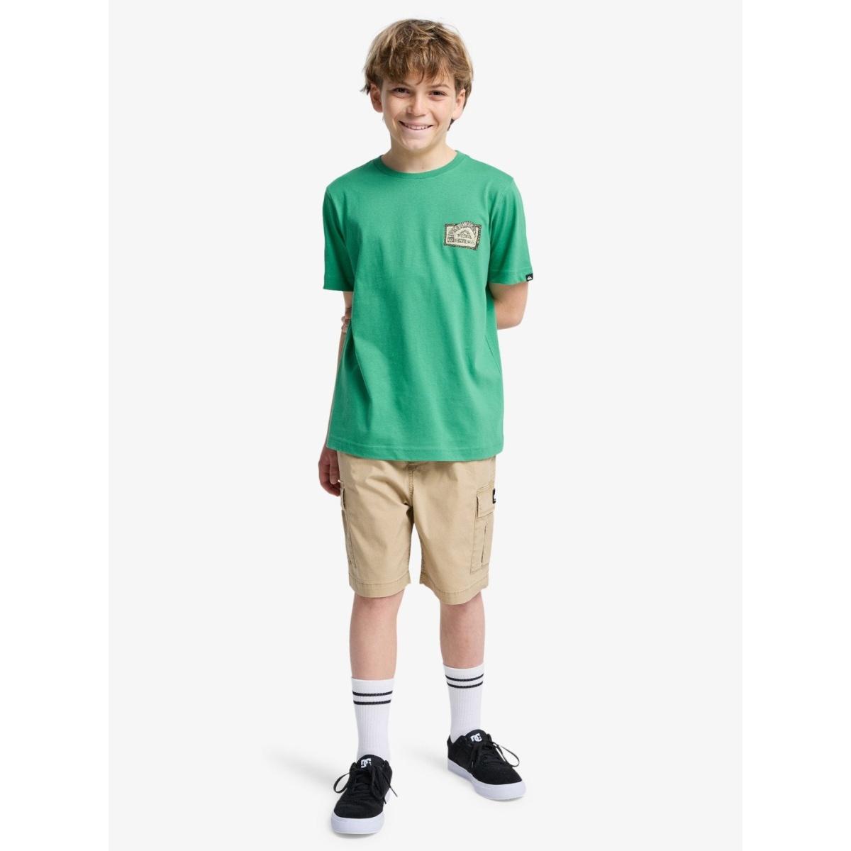 Taxer Cargo Quiksilver