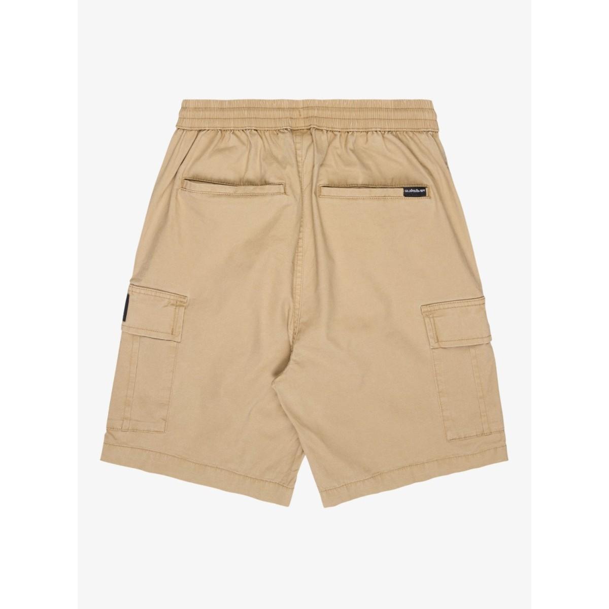 Taxer Cargo Quiksilver