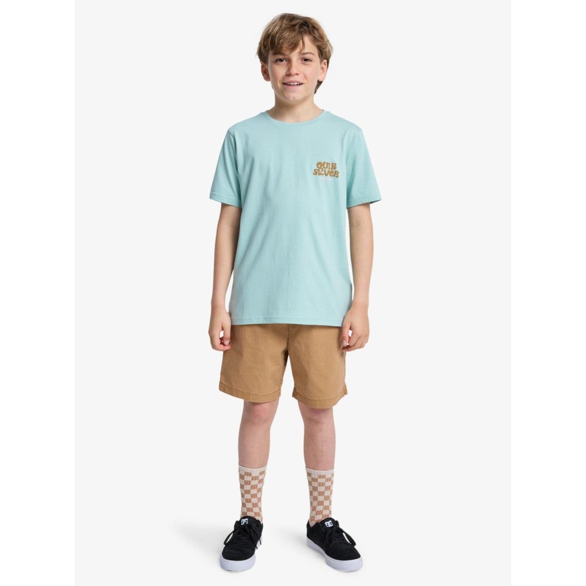 Taxer Youth Quiksilver