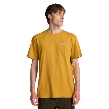 Arch Crew Billabong