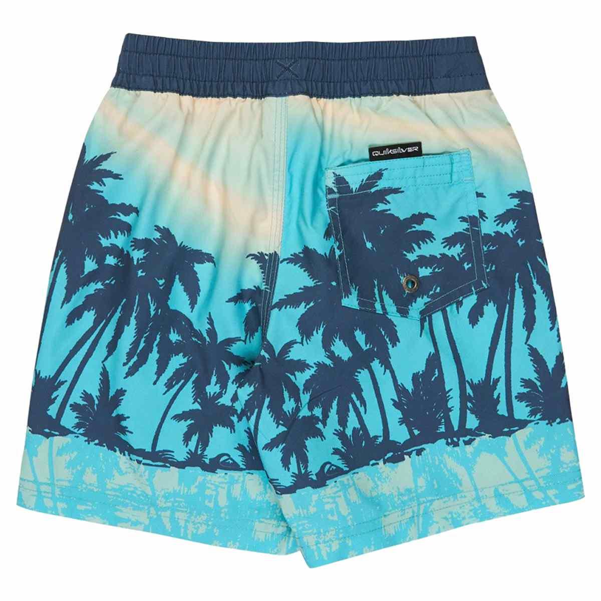 Printed Volley 13 Quiksilver