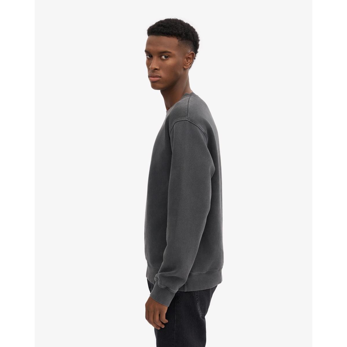 Classic Organic Crew Colorful Standard