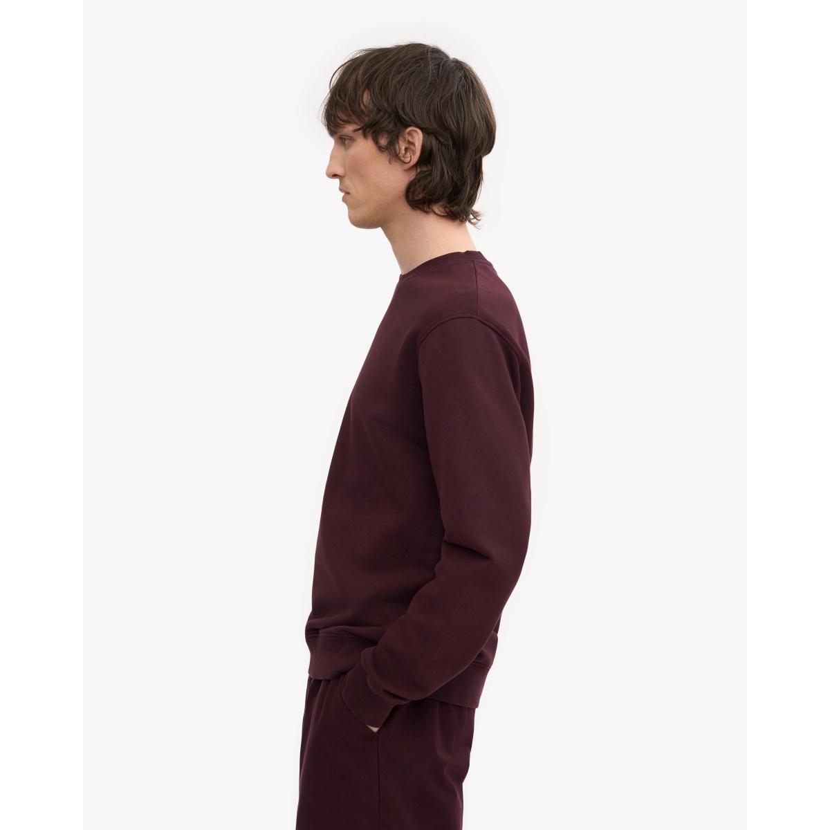 Classic Organic Crew Colorful Standard