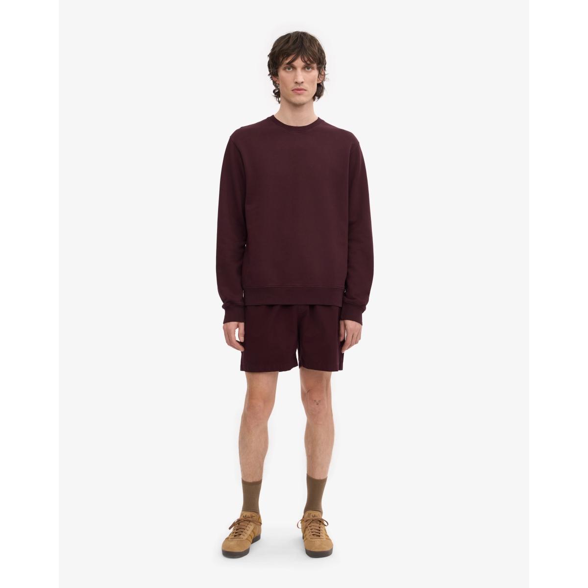 Classic Organic Crew Colorful Standard