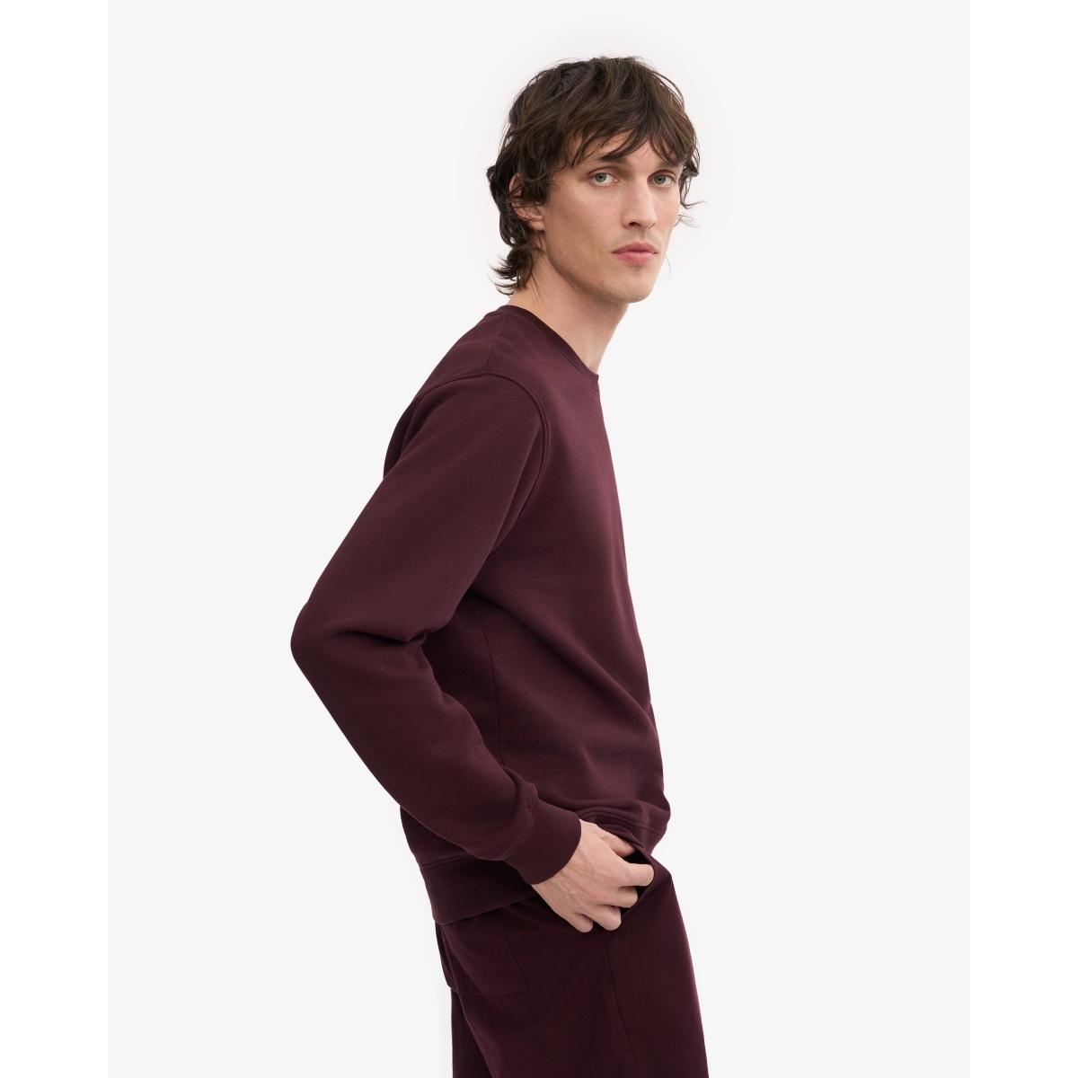 Classic Organic Crew Colorful Standard