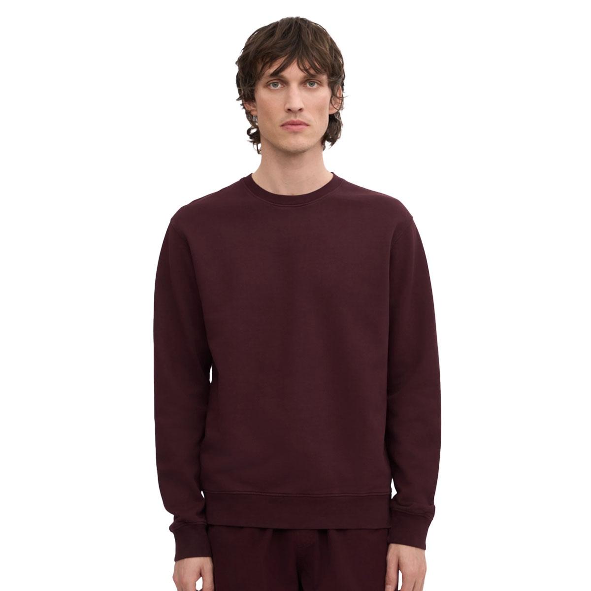 Classic Organic Crew Colorful Standard