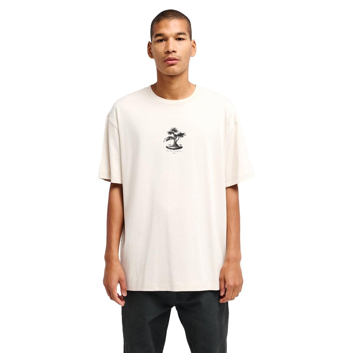 Balance Tree RVCA