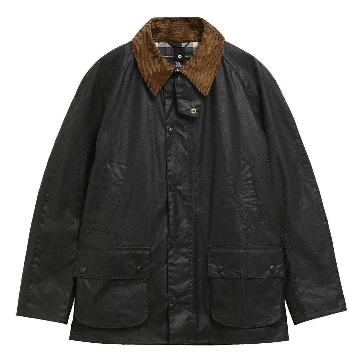 Festive Ashby Barbour