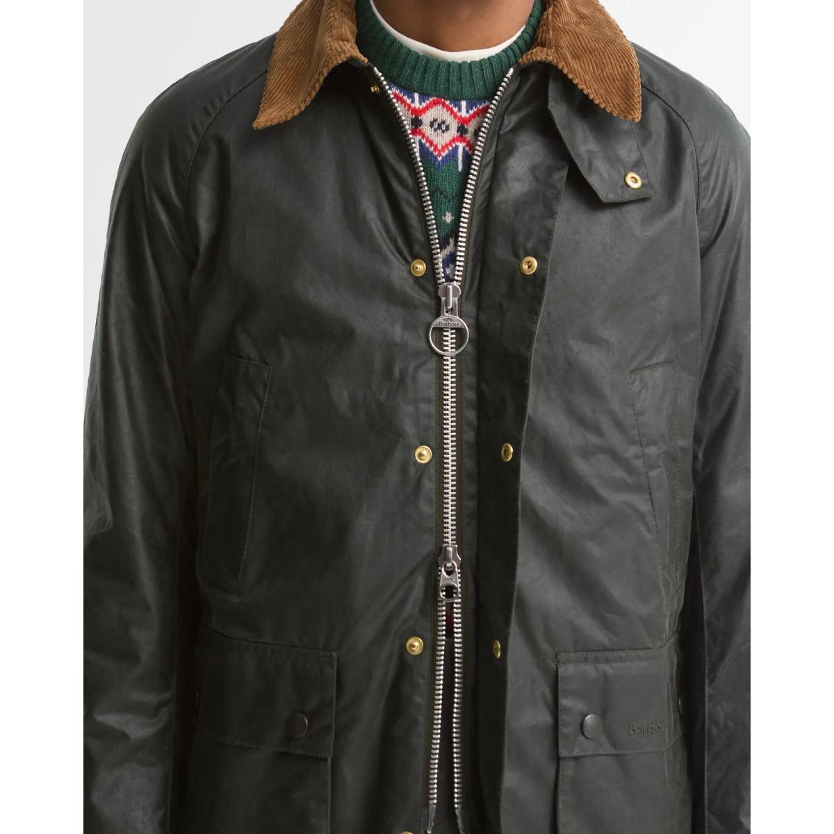 Festive Ashby Barbour