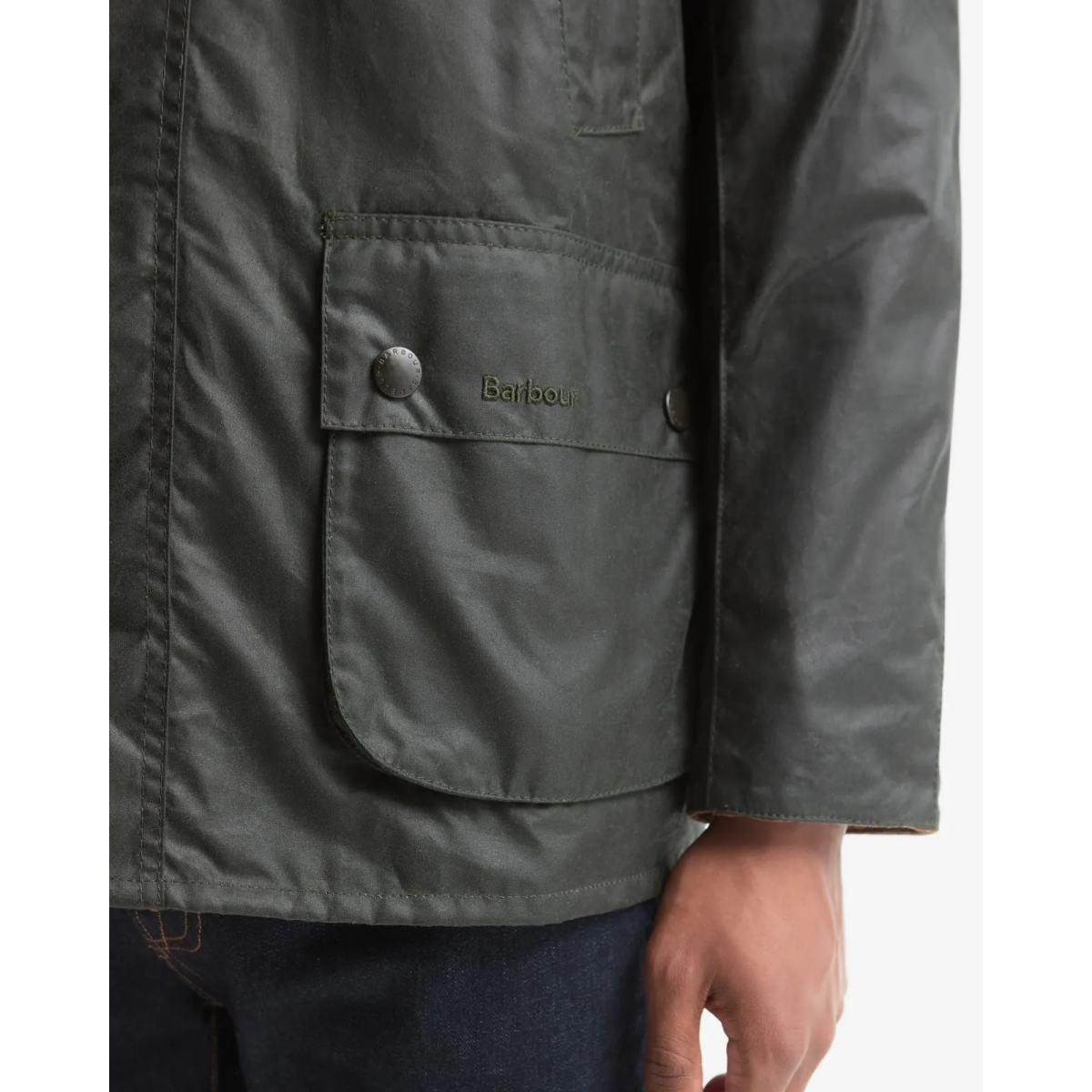 Festive Ashby Barbour