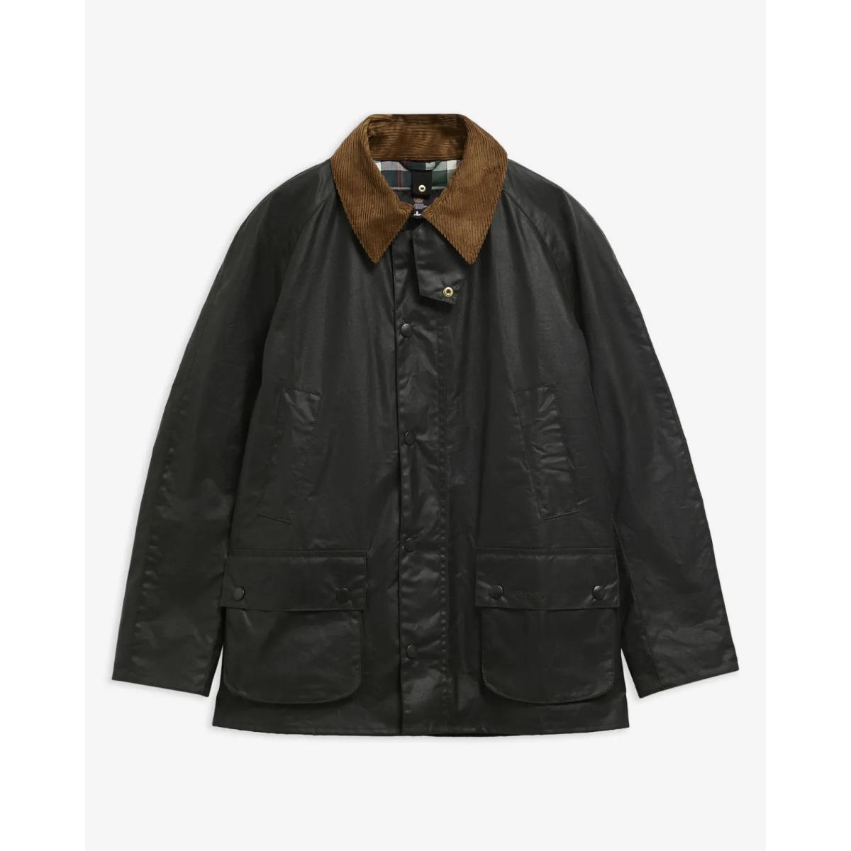Festive Ashby Barbour