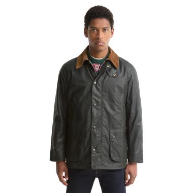Festive Ashby Barbour